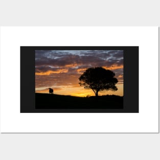 Sunset, Maleny, Sunshine Coast Hinterland Posters and Art